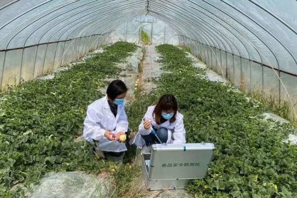 食品安全检测